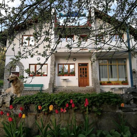 Самостоятелни Стаи В Къща За Гости Балкан Ribarica Exterior foto